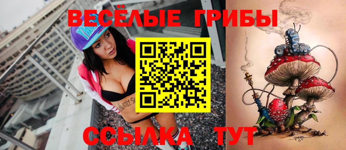 Клин  Галлюциногенные грибы прущие грибы  Вход с VPN 